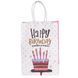 Подарочный пакет Happy Birthday 15 на 8 на 21 см 12 штук в упаковке Розовый с белым Yiwu HP-10359-23PK